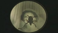 Trapped Wasp by Amy Jenkins