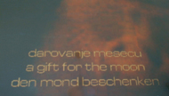 A Gift for the Moon by Evelin Stermitz