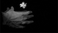 Flor de la Alhambra by Lemeh42